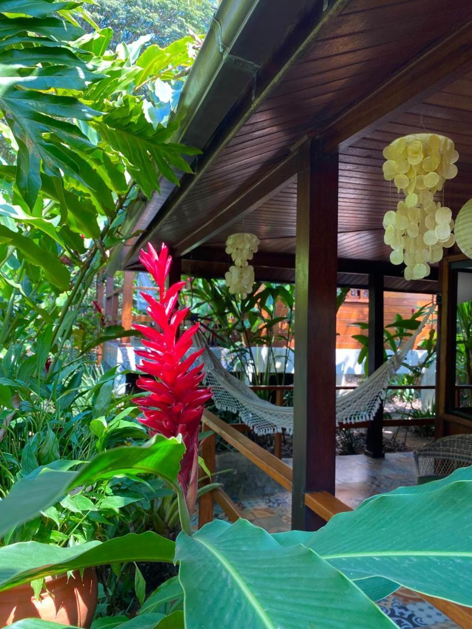 Aratinga Inn Abraão Kültér fotó